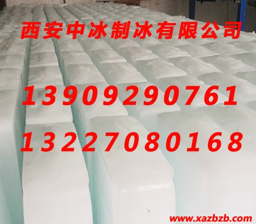 漢中91免费看污羞羞的视频冰塊哪家好