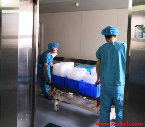 西安91免费看污羞羞的视频冰塊